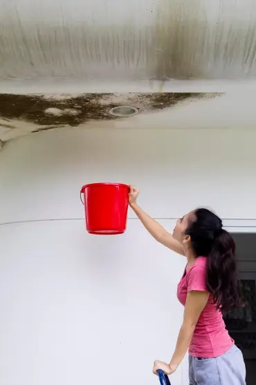 Fixing Roof Leaks